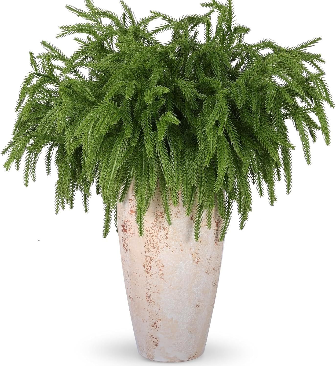 Usphonecards - Natural Christmas Greenery-Norfolk Pine Branch