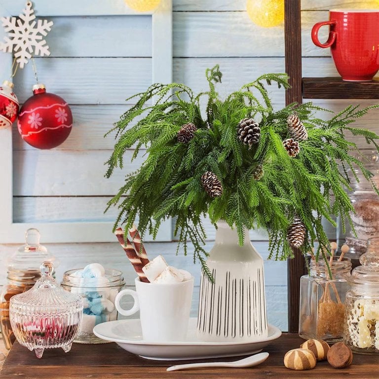 Usphonecards - Natural Christmas Greenery-Norfolk Pine Branch